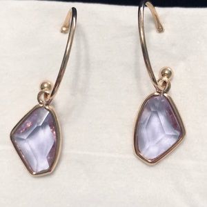 Crystal drop hoop earrings